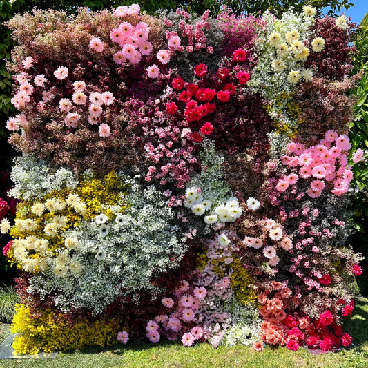 Charlotte Floral Wall